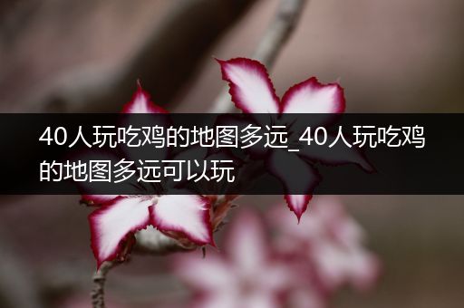 40人玩吃鸡的地图多远_40人玩吃鸡的地图多远可以玩