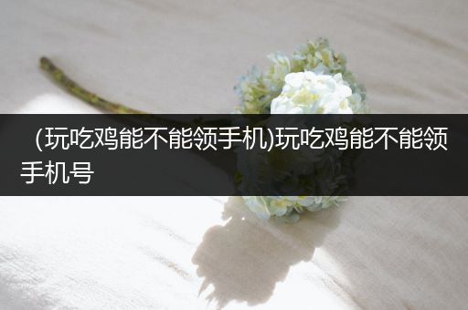 （玩吃鸡能不能领手机)玩吃鸡能不能领手机号
