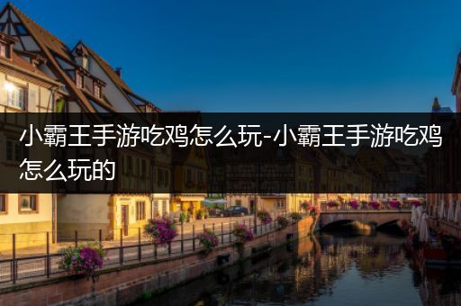小霸王手游吃鸡怎么玩-小霸王手游吃鸡怎么玩的