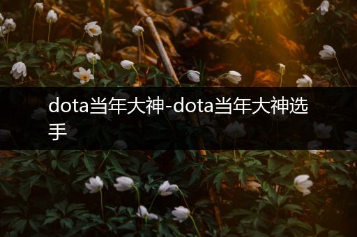 dota当年大神-dota当年大神选手
