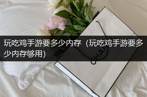 玩吃鸡手游要多少内存（玩吃鸡手游要多少内存够用）