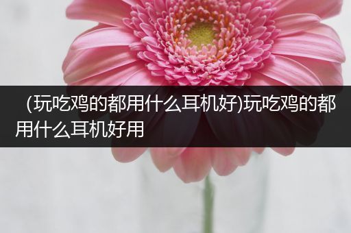 （玩吃鸡的都用什么耳机好)玩吃鸡的都用什么耳机好用