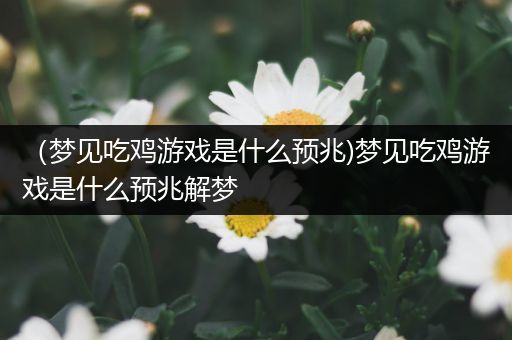 （梦见吃鸡游戏是什么预兆)梦见吃鸡游戏是什么预兆解梦
