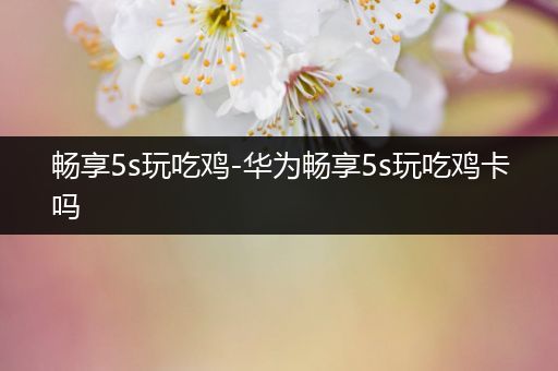 畅享5s玩吃鸡-华为畅享5s玩吃鸡卡吗