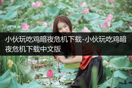 小伙玩吃鸡暗夜危机下载-小伙玩吃鸡暗夜危机下载中文版