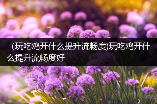 （玩吃鸡开什么提升流畅度)玩吃鸡开什么提升流畅度好