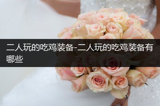 二人玩的吃鸡装备-二人玩的吃鸡装备有哪些