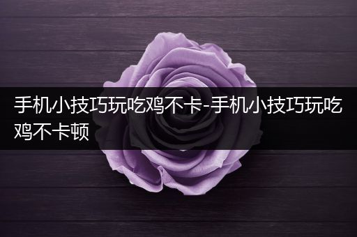 手机小技巧玩吃鸡不卡-手机小技巧玩吃鸡不卡顿