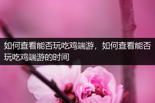 如何查看能否玩吃鸡端游，如何查看能否玩吃鸡端游的时间