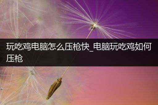 玩吃鸡电脑怎么压枪快_电脑玩吃鸡如何压枪