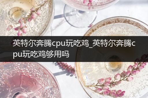 英特尔奔腾cpu玩吃鸡_英特尔奔腾cpu玩吃鸡够用吗