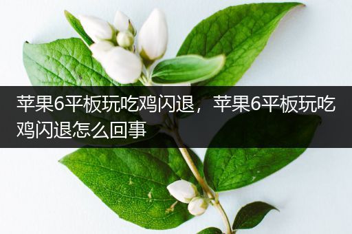 苹果6平板玩吃鸡闪退，苹果6平板玩吃鸡闪退怎么回事