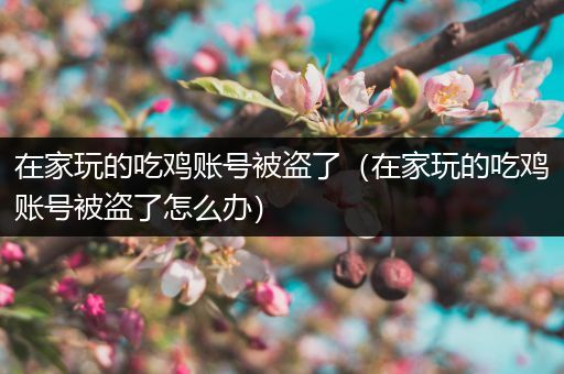 在家玩的吃鸡账号被盗了（在家玩的吃鸡账号被盗了怎么办）