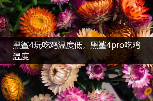 黑鲨4玩吃鸡温度低，黑鲨4pro吃鸡温度