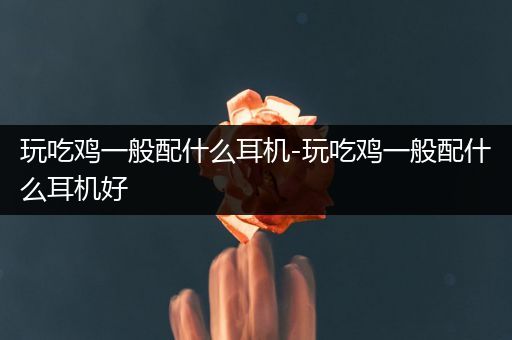 玩吃鸡一般配什么耳机-玩吃鸡一般配什么耳机好