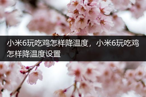 小米6玩吃鸡怎样降温度，小米6玩吃鸡怎样降温度设置