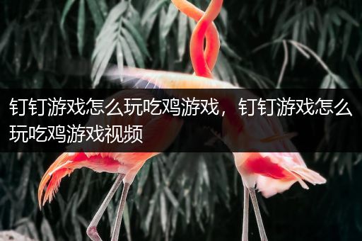 钉钉游戏怎么玩吃鸡游戏，钉钉游戏怎么玩吃鸡游戏视频