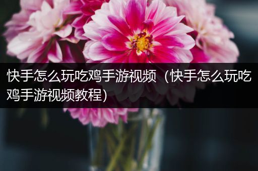 快手怎么玩吃鸡手游视频（快手怎么玩吃鸡手游视频教程）