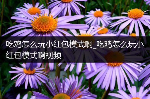 吃鸡怎么玩小红包模式啊_吃鸡怎么玩小红包模式啊视频
