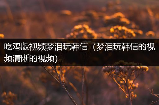 吃鸡版视频梦泪玩韩信（梦泪玩韩信的视频清晰的视频）