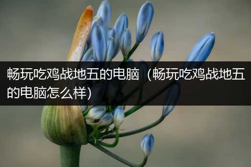 畅玩吃鸡战地五的电脑（畅玩吃鸡战地五的电脑怎么样）