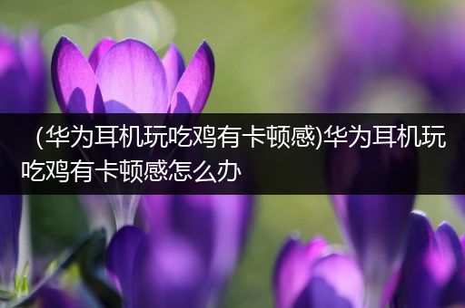 （华为耳机玩吃鸡有卡顿感)华为耳机玩吃鸡有卡顿感怎么办