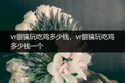 vr眼镜玩吃鸡多少钱，vr眼镜玩吃鸡多少钱一个