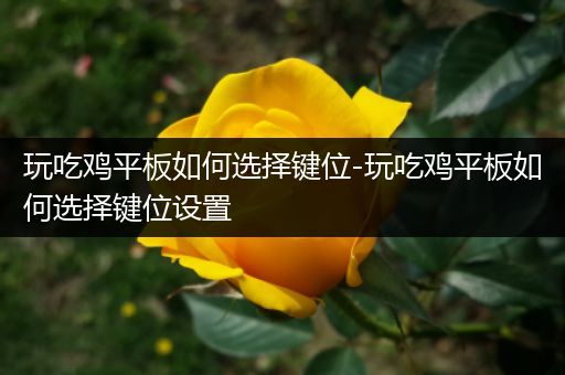 玩吃鸡平板如何选择键位-玩吃鸡平板如何选择键位设置