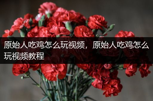 原始人吃鸡怎么玩视频，原始人吃鸡怎么玩视频教程
