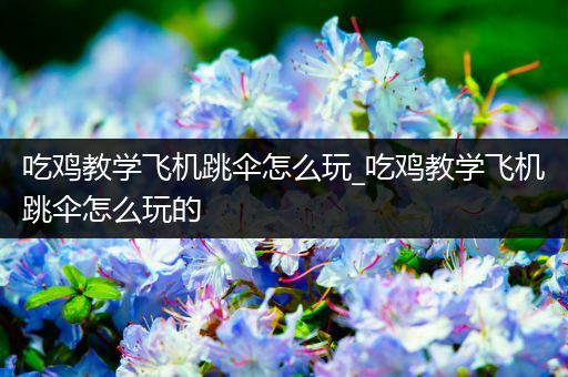 吃鸡教学飞机跳伞怎么玩_吃鸡教学飞机跳伞怎么玩的