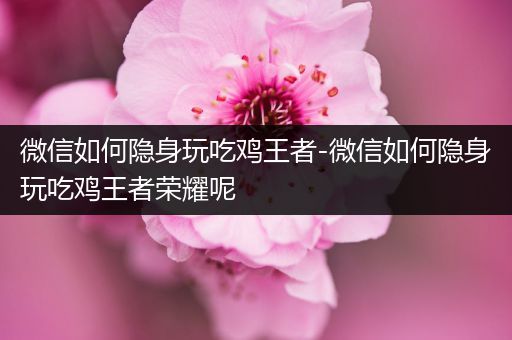 微信如何隐身玩吃鸡王者-微信如何隐身玩吃鸡王者荣耀呢