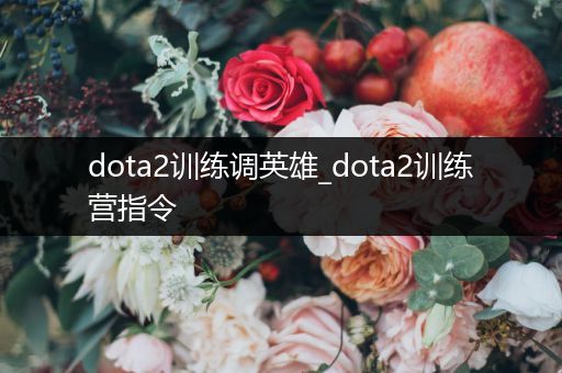 dota2训练调英雄_dota2训练营指令