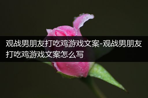 观战男朋友打吃鸡游戏文案-观战男朋友打吃鸡游戏文案怎么写