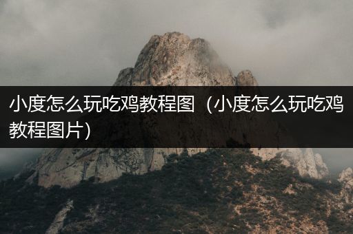 小度怎么玩吃鸡教程图（小度怎么玩吃鸡教程图片）