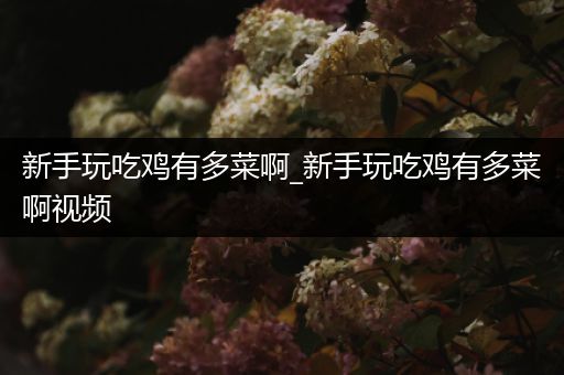 新手玩吃鸡有多菜啊_新手玩吃鸡有多菜啊视频