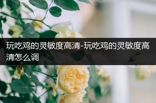 玩吃鸡的灵敏度高清-玩吃鸡的灵敏度高清怎么调