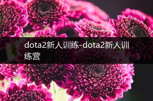 dota2新人训练-dota2新人训练营