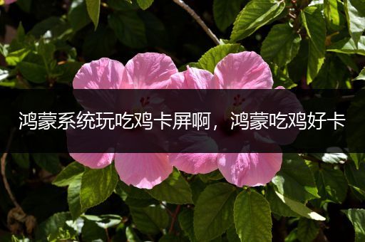 鸿蒙系统玩吃鸡卡屏啊，鸿蒙吃鸡好卡
