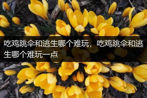 吃鸡跳伞和逃生哪个难玩，吃鸡跳伞和逃生哪个难玩一点