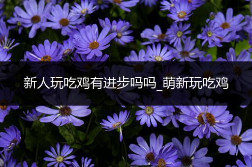 新人玩吃鸡有进步吗吗_萌新玩吃鸡