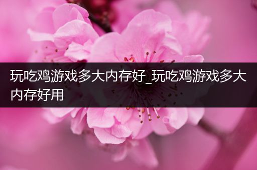 玩吃鸡游戏多大内存好_玩吃鸡游戏多大内存好用