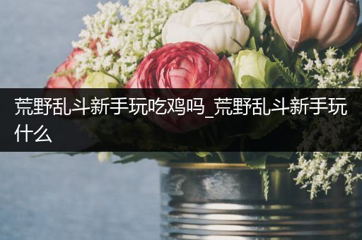荒野乱斗新手玩吃鸡吗_荒野乱斗新手玩什么