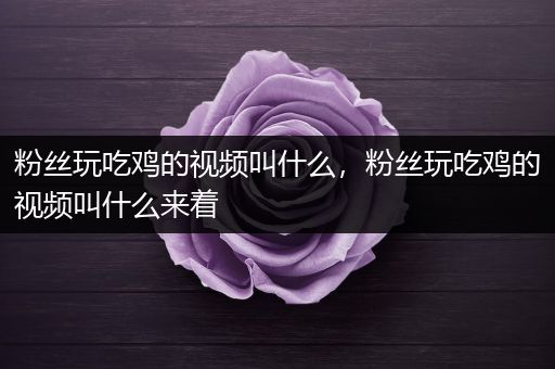 粉丝玩吃鸡的视频叫什么，粉丝玩吃鸡的视频叫什么来着