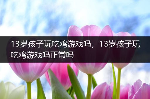 13岁孩子玩吃鸡游戏吗，13岁孩子玩吃鸡游戏吗正常吗