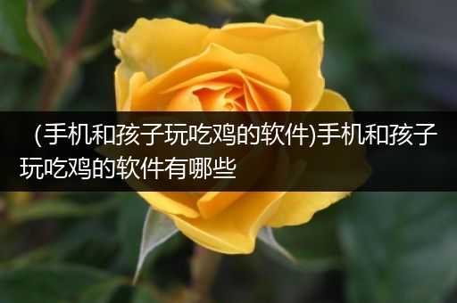 （手机和孩子玩吃鸡的软件)手机和孩子玩吃鸡的软件有哪些