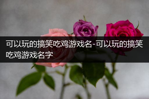 可以玩的搞笑吃鸡游戏名-可以玩的搞笑吃鸡游戏名字