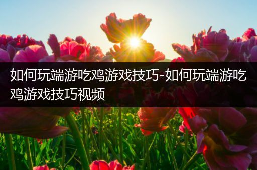 如何玩端游吃鸡游戏技巧-如何玩端游吃鸡游戏技巧视频