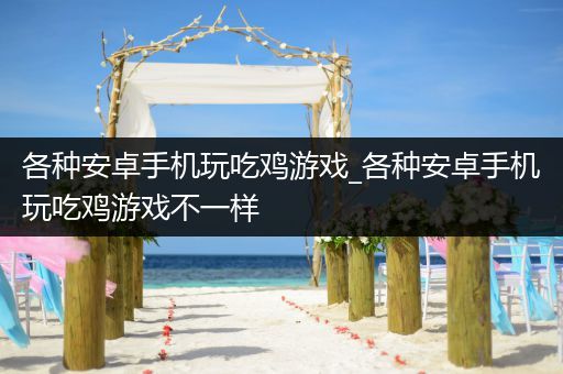 各种安卓手机玩吃鸡游戏_各种安卓手机玩吃鸡游戏不一样