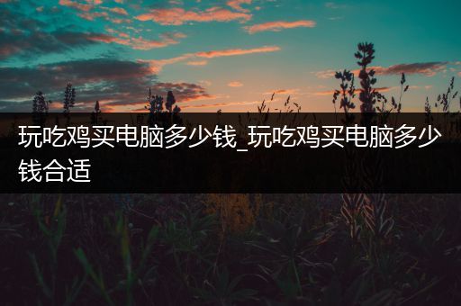 玩吃鸡买电脑多少钱_玩吃鸡买电脑多少钱合适