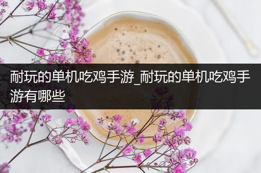 耐玩的单机吃鸡手游_耐玩的单机吃鸡手游有哪些